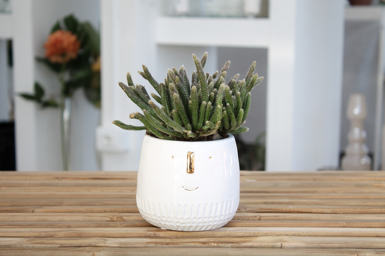 FACE EASY POTS