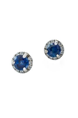 Ceylon Blue Sapphire Halo Earrings