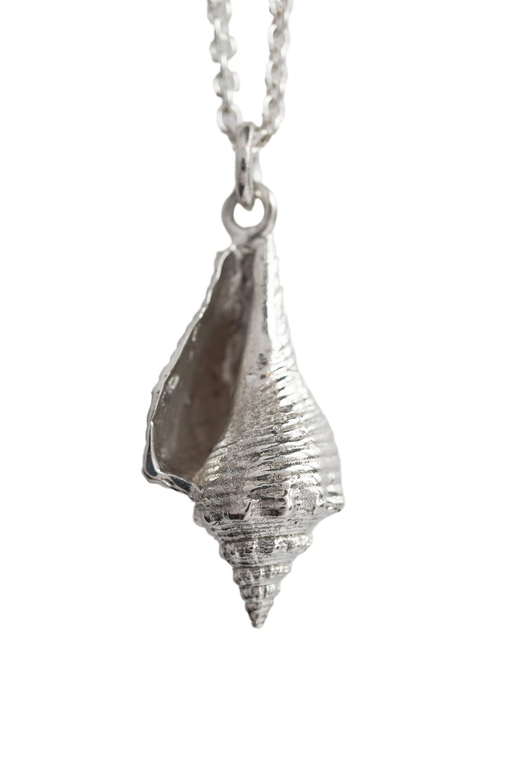 Shells