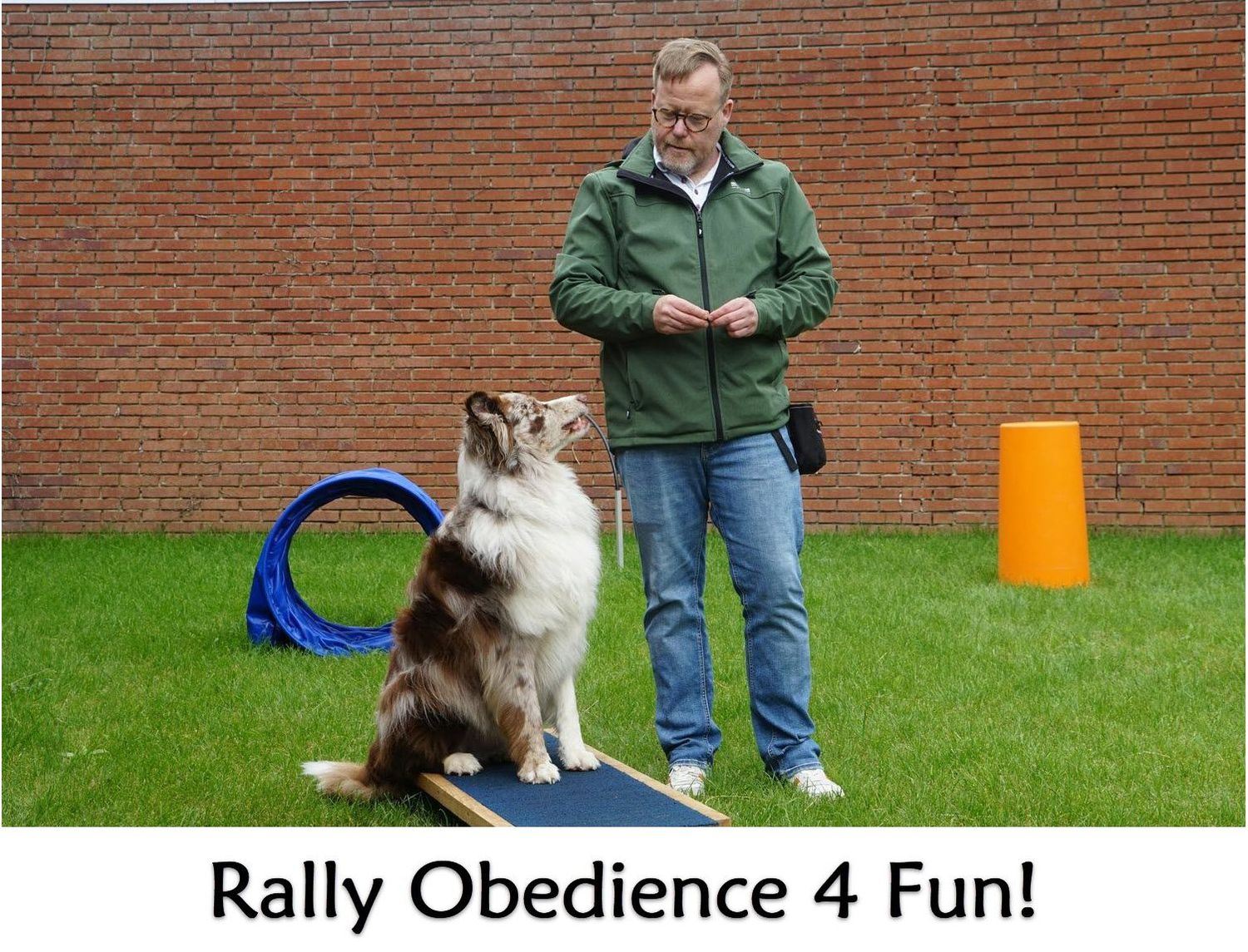 Rally-O for Fun! Mini Class. Mondays 7:30pm (Starts September 8)  Trainer:  Lindsay Consiglio-Jackson