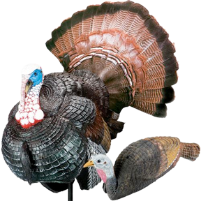 PRETTY BOY/GIRL DECOY KIT
