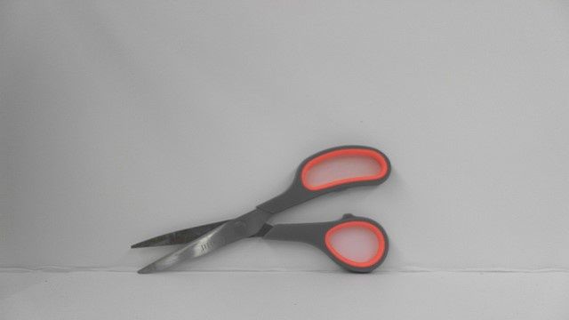 Scissor - 8 inch