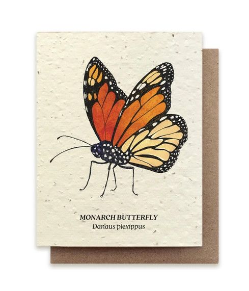 Monarch Butterfly Plantable Wildflower Seed Card