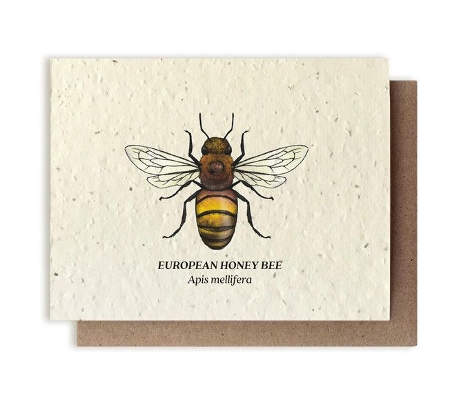 Honey Bee Plantable Wildflower Seed Card