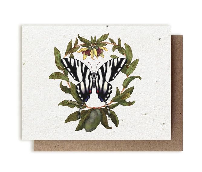 Zebra Swallowtail Butterfly &amp; Pawpaw Plantable Herbs