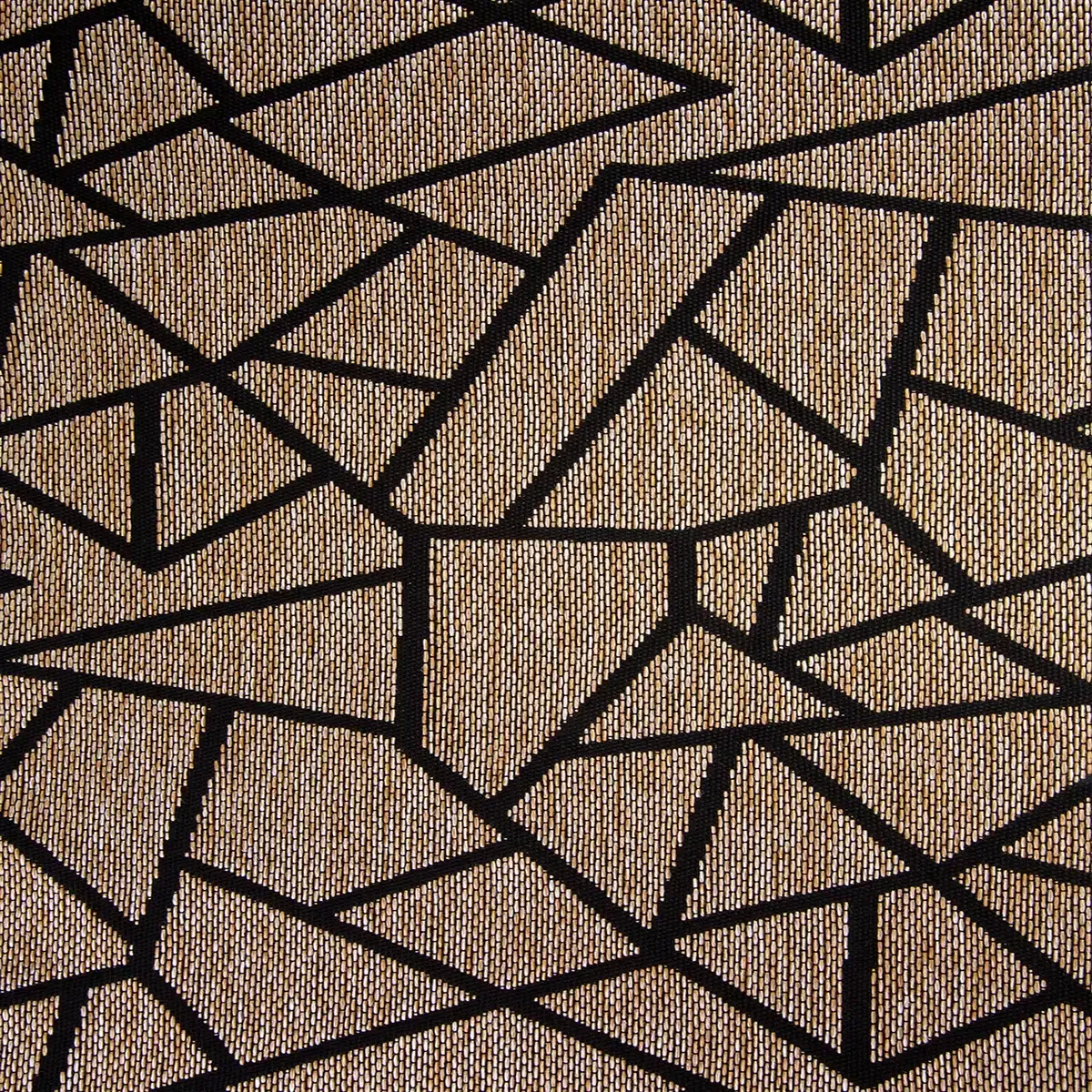 Cubo Camello
