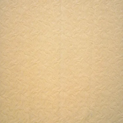 Ford Beige