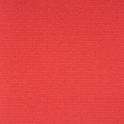 Stella Coral