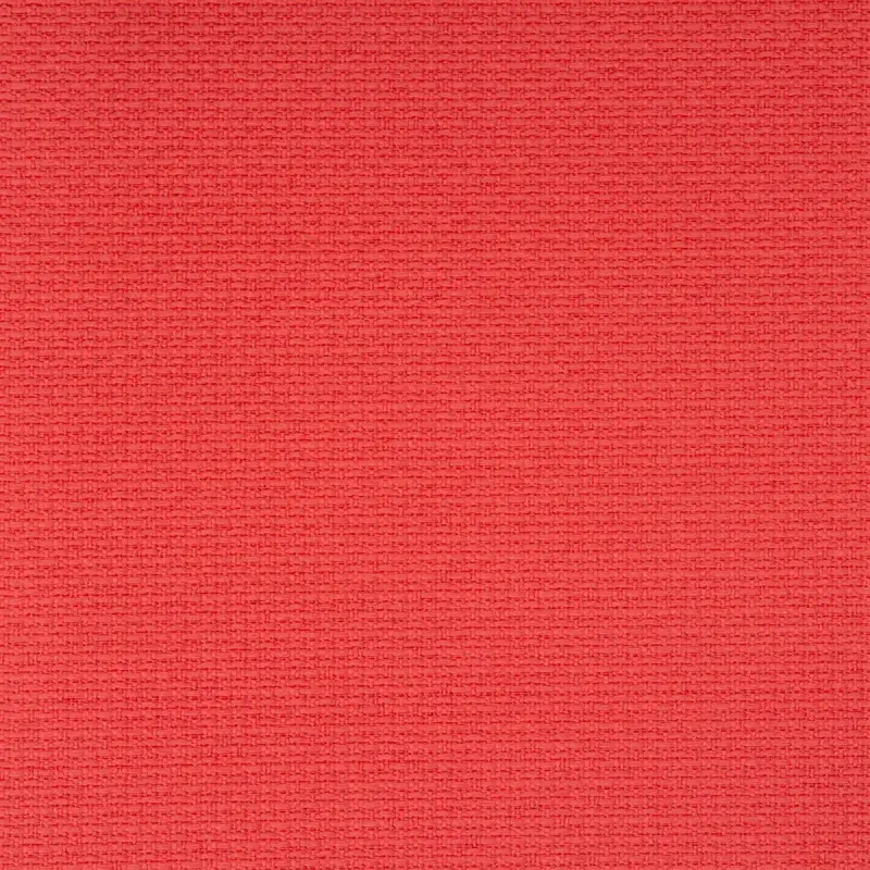 Stella Coral