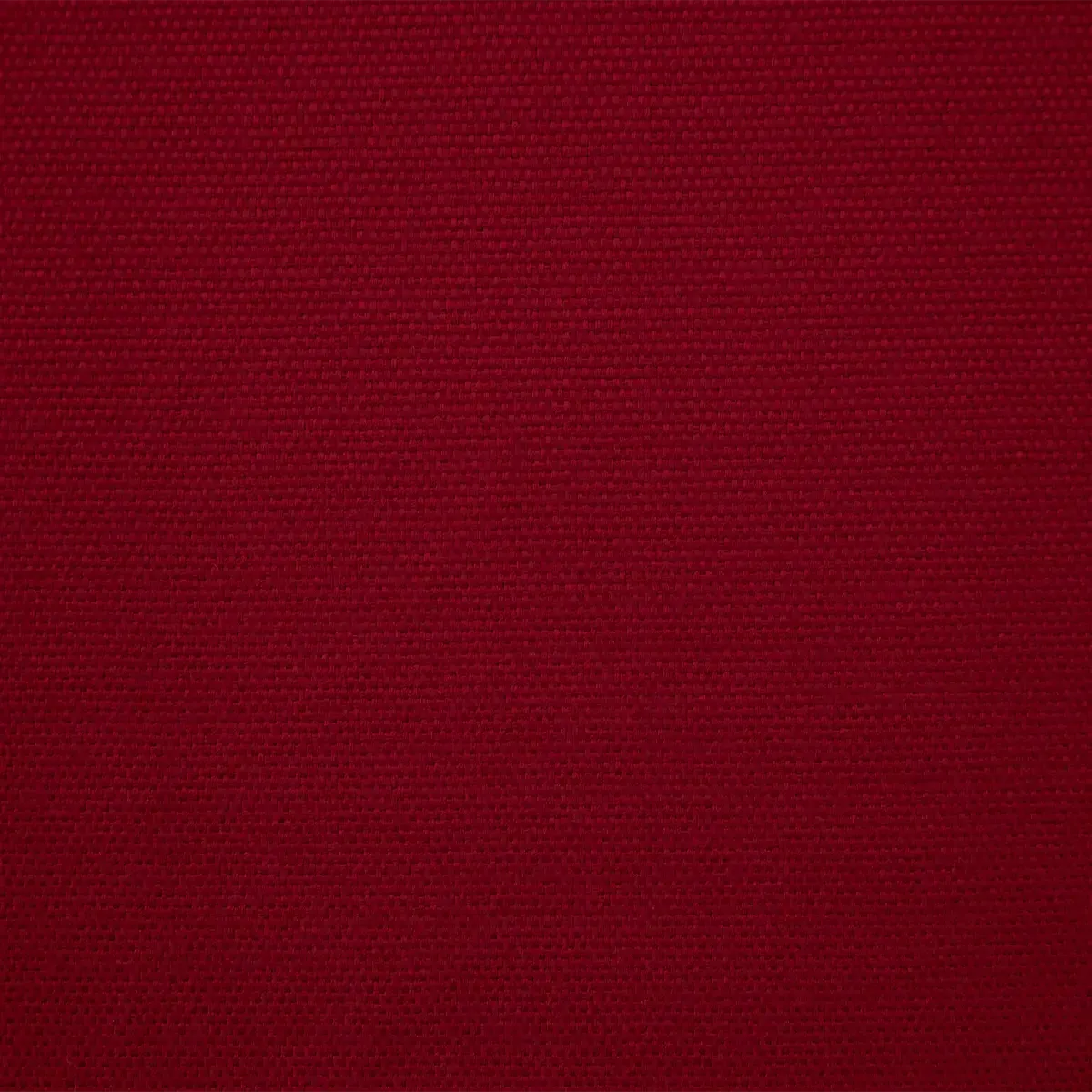 Modena Vino