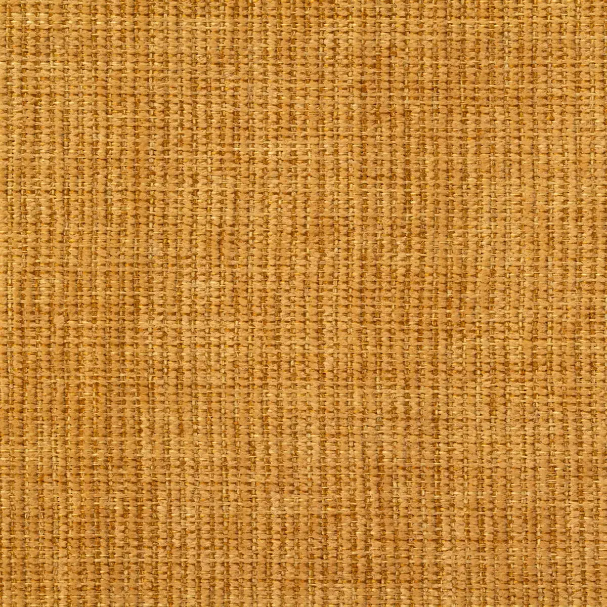 Amaranto Mango