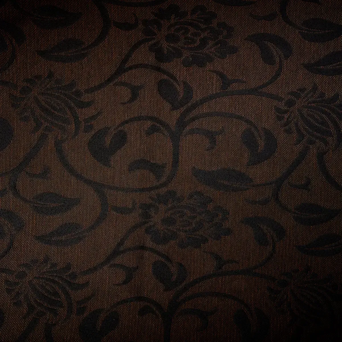 Camelia Chocolate