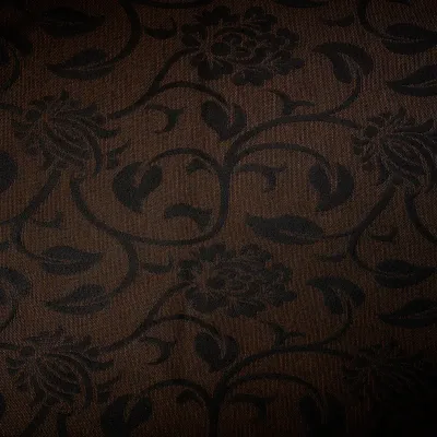 Camelia Chocolate