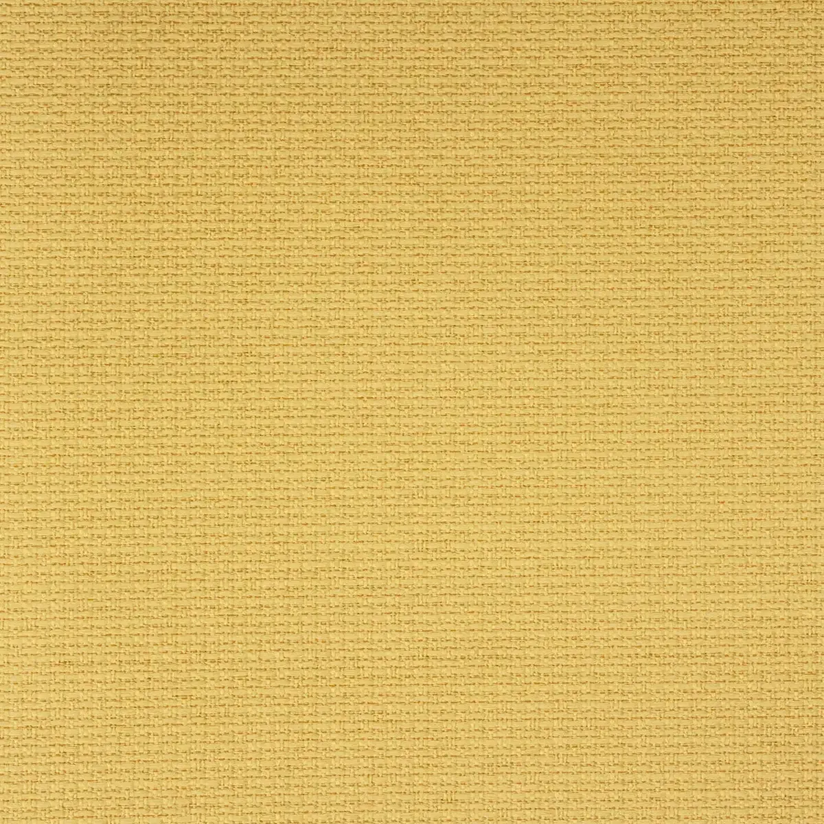 Stella Beige