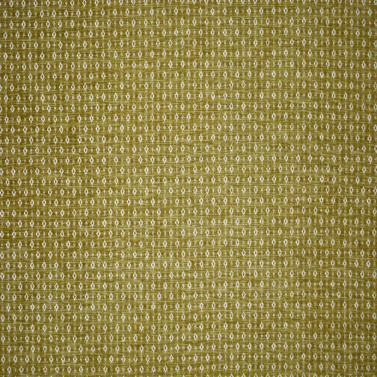 Antonella Green Dry