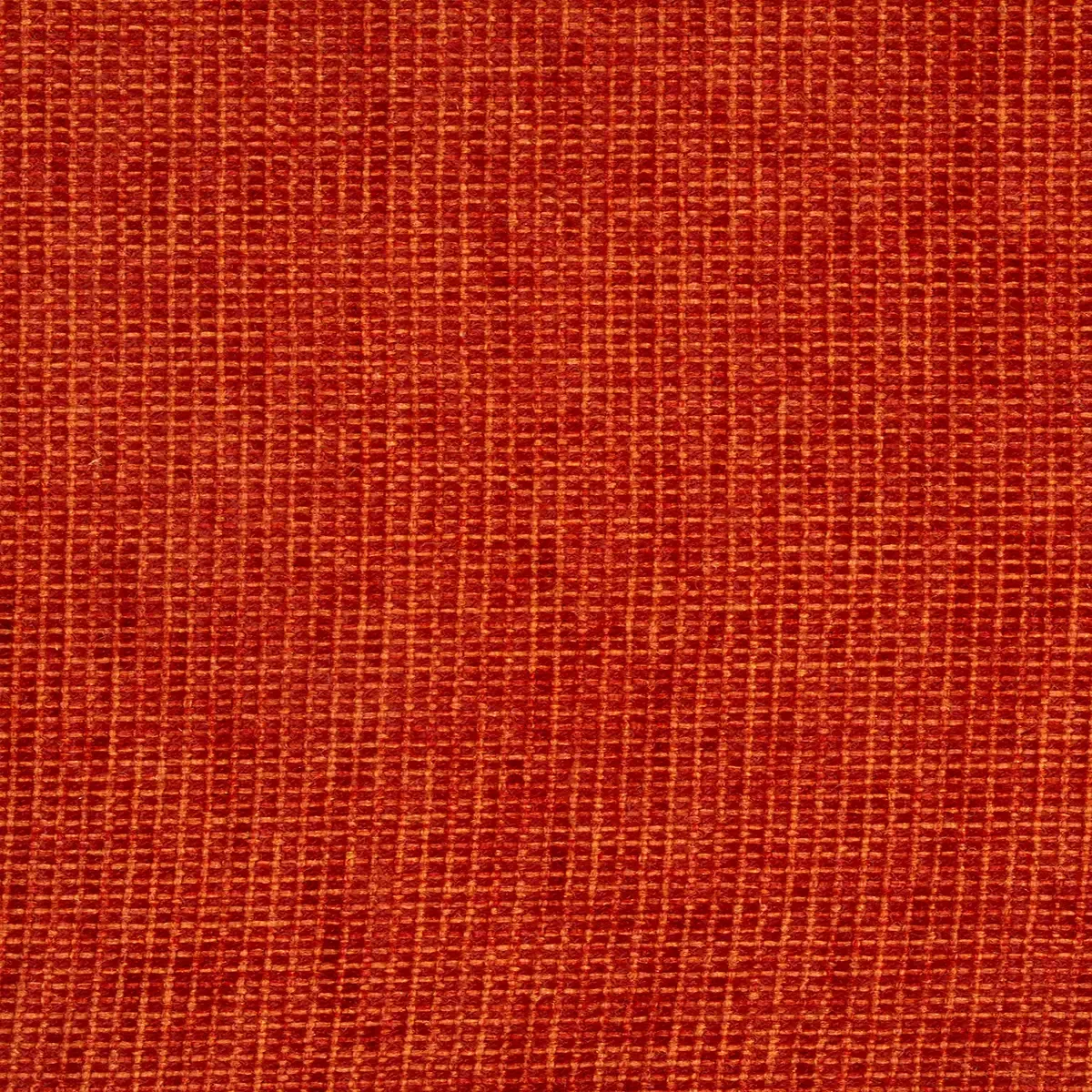 Amaranto Orange