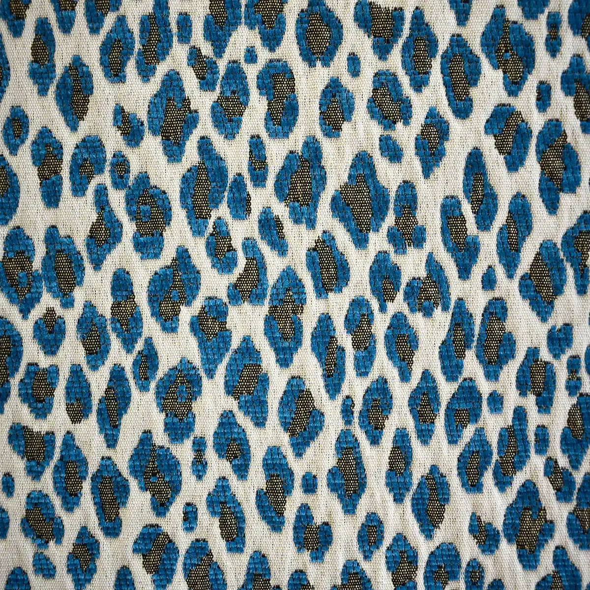 Animal Print Pavorreal