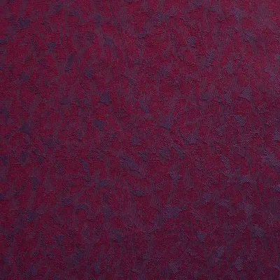 Daytona Vino