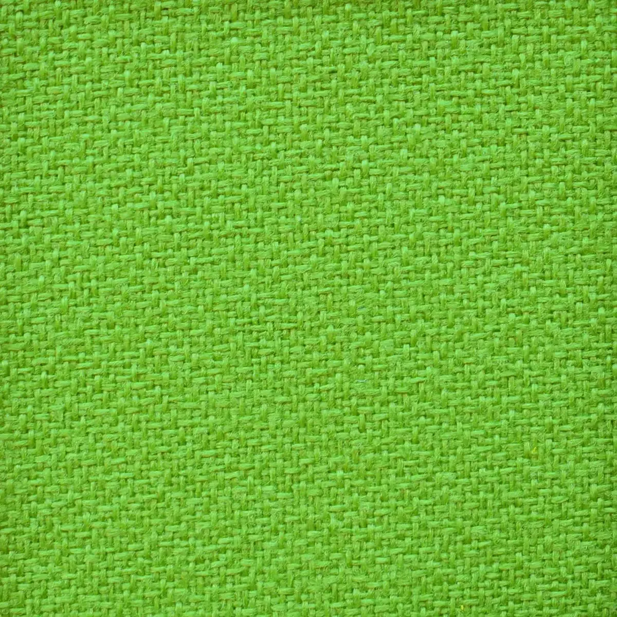 Crepe Kiwi