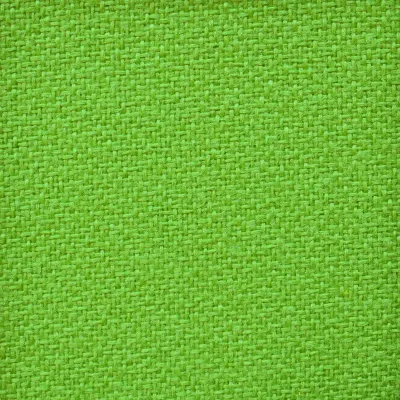 Crepe Kiwi