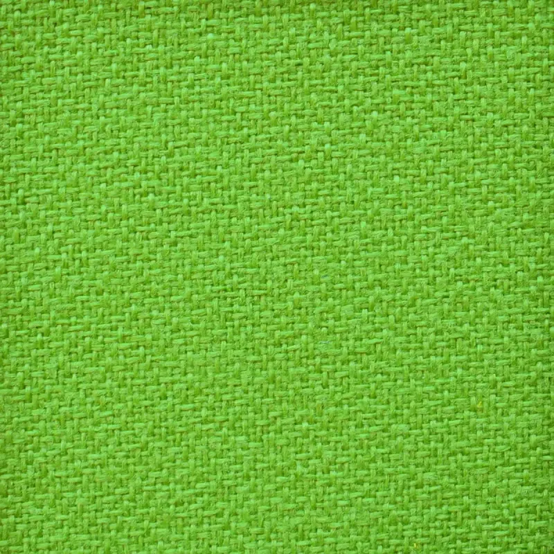 Crepe Kiwi