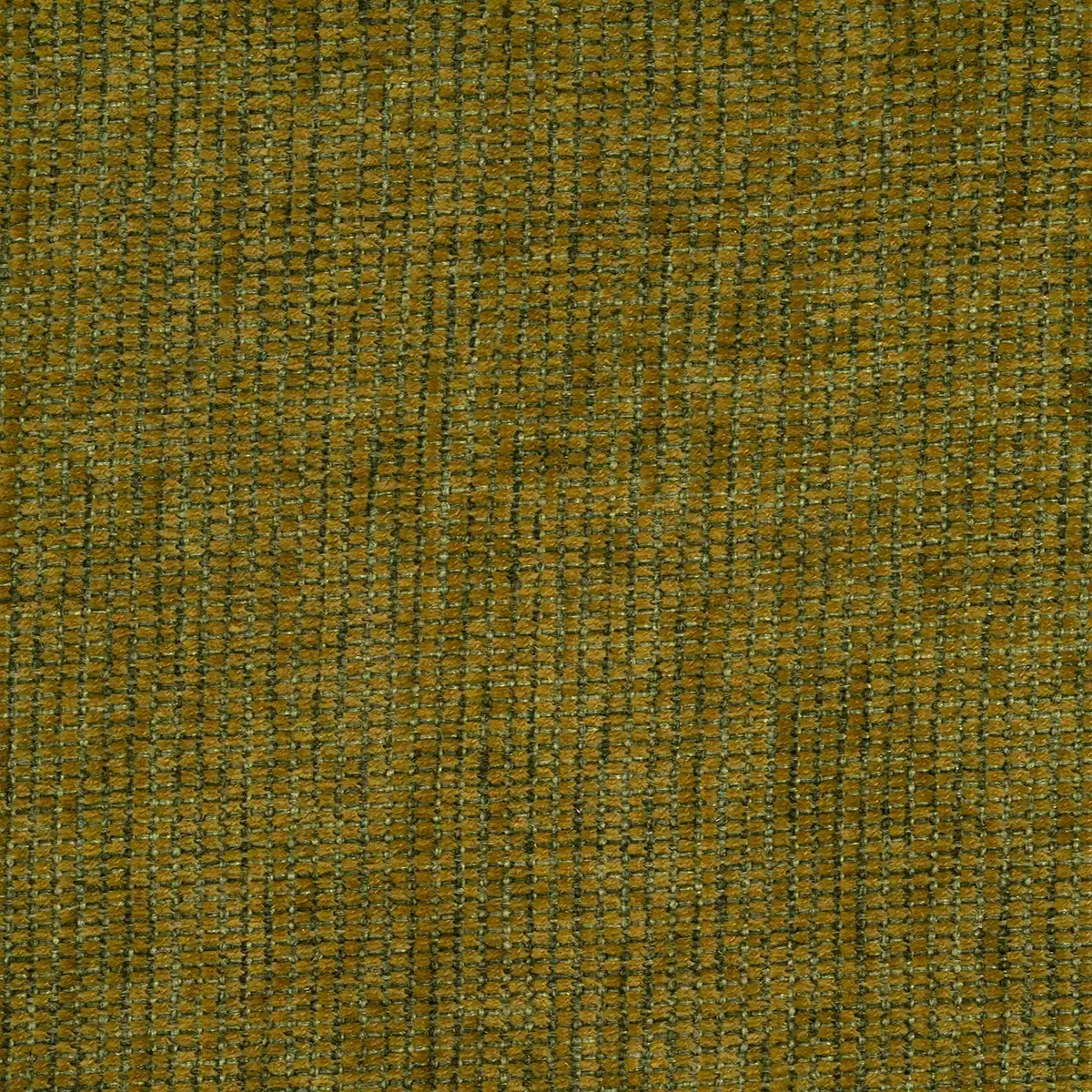 Amaranto Verde Seco
