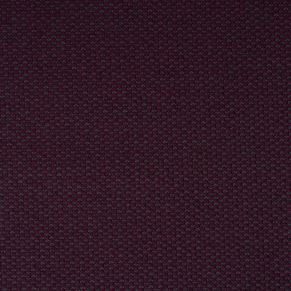 Violet Star