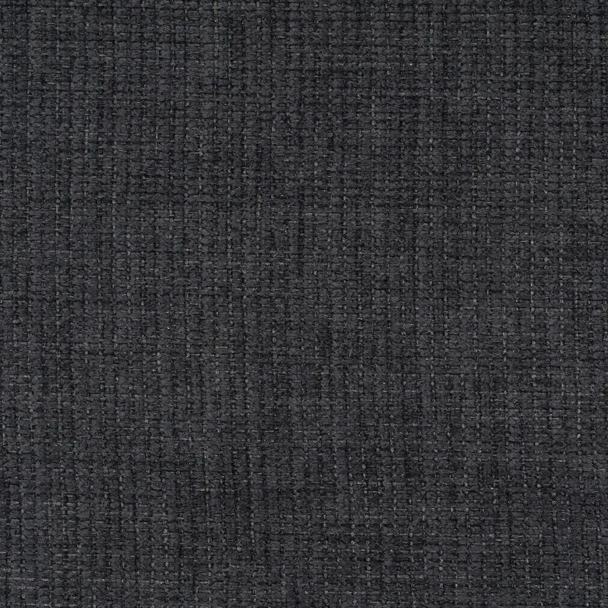 Gray Amaranth