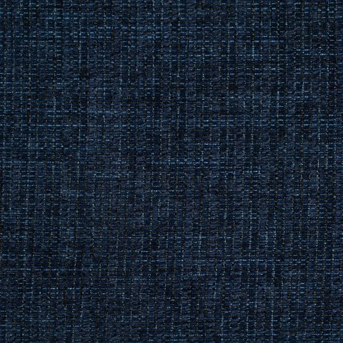 Plumbago amaranth
