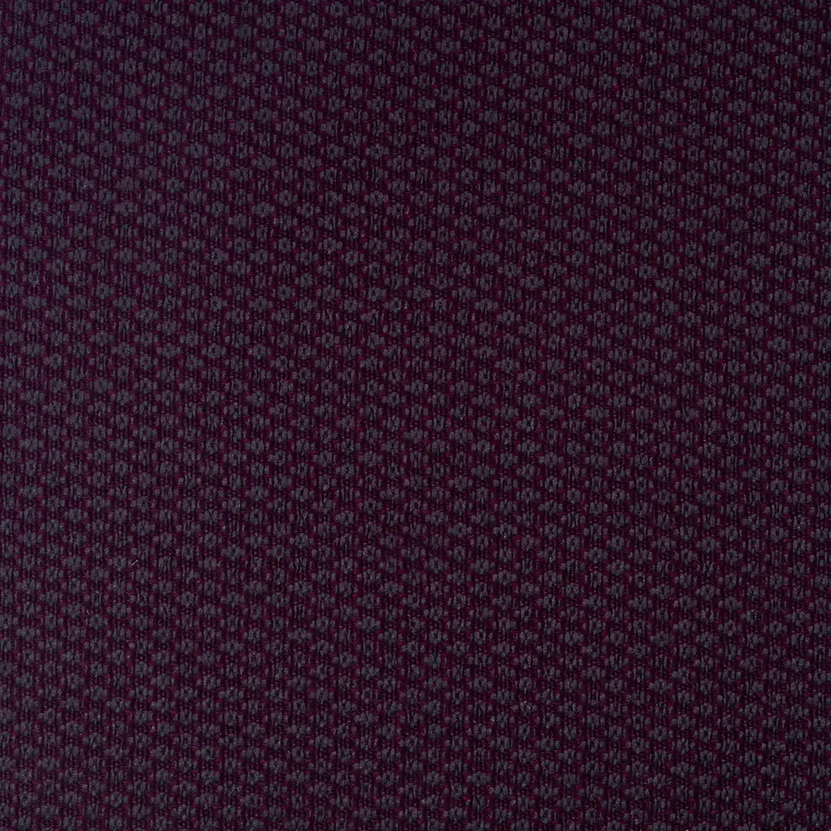 Tesla Violeta