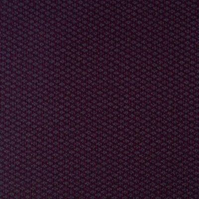 Tesla Violeta