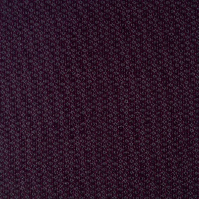 Tesla Violeta