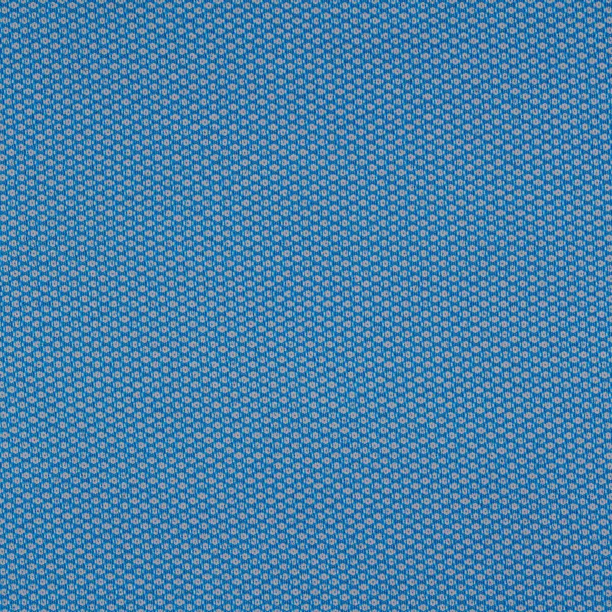 Tesla Azul