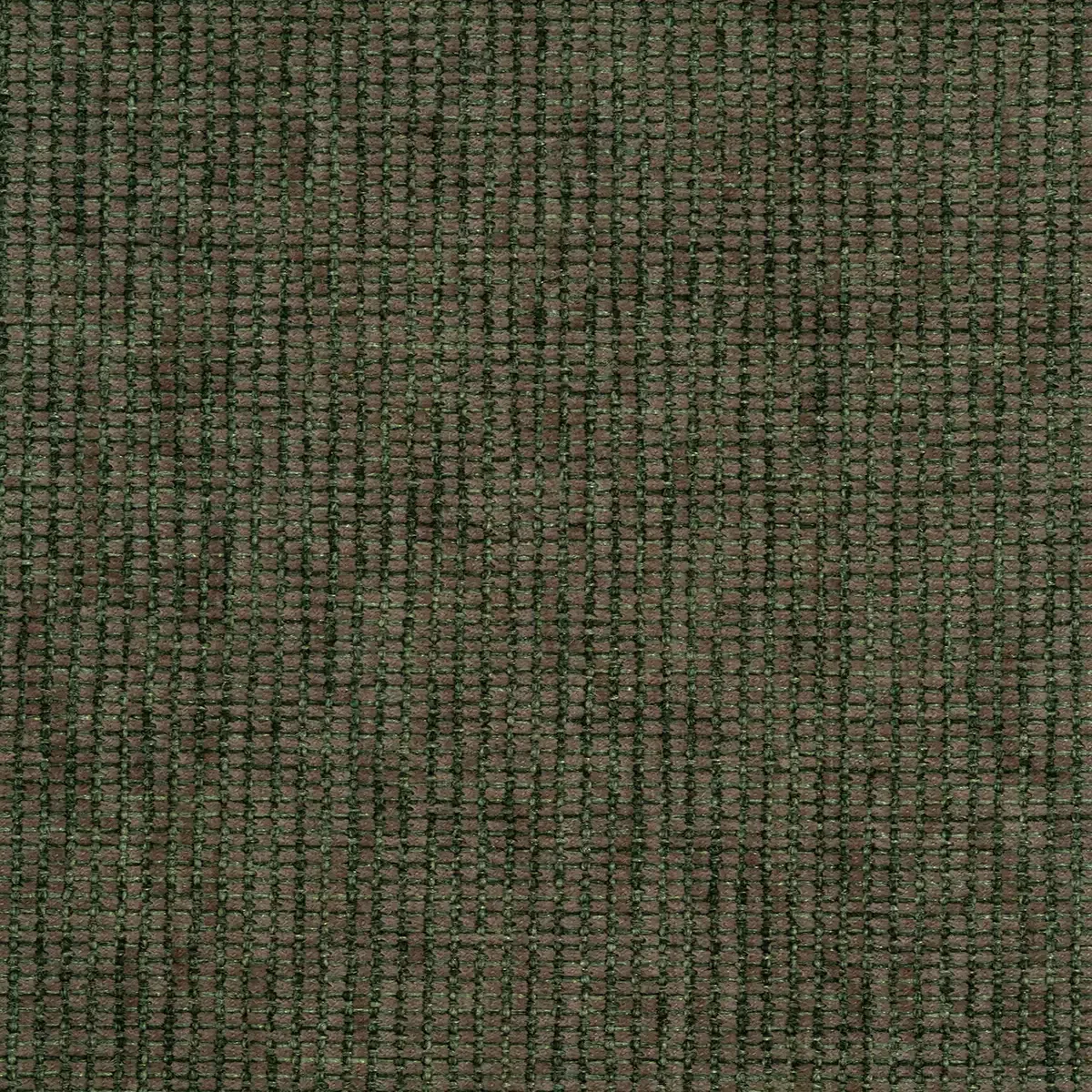 Amaranto Verde Hoja