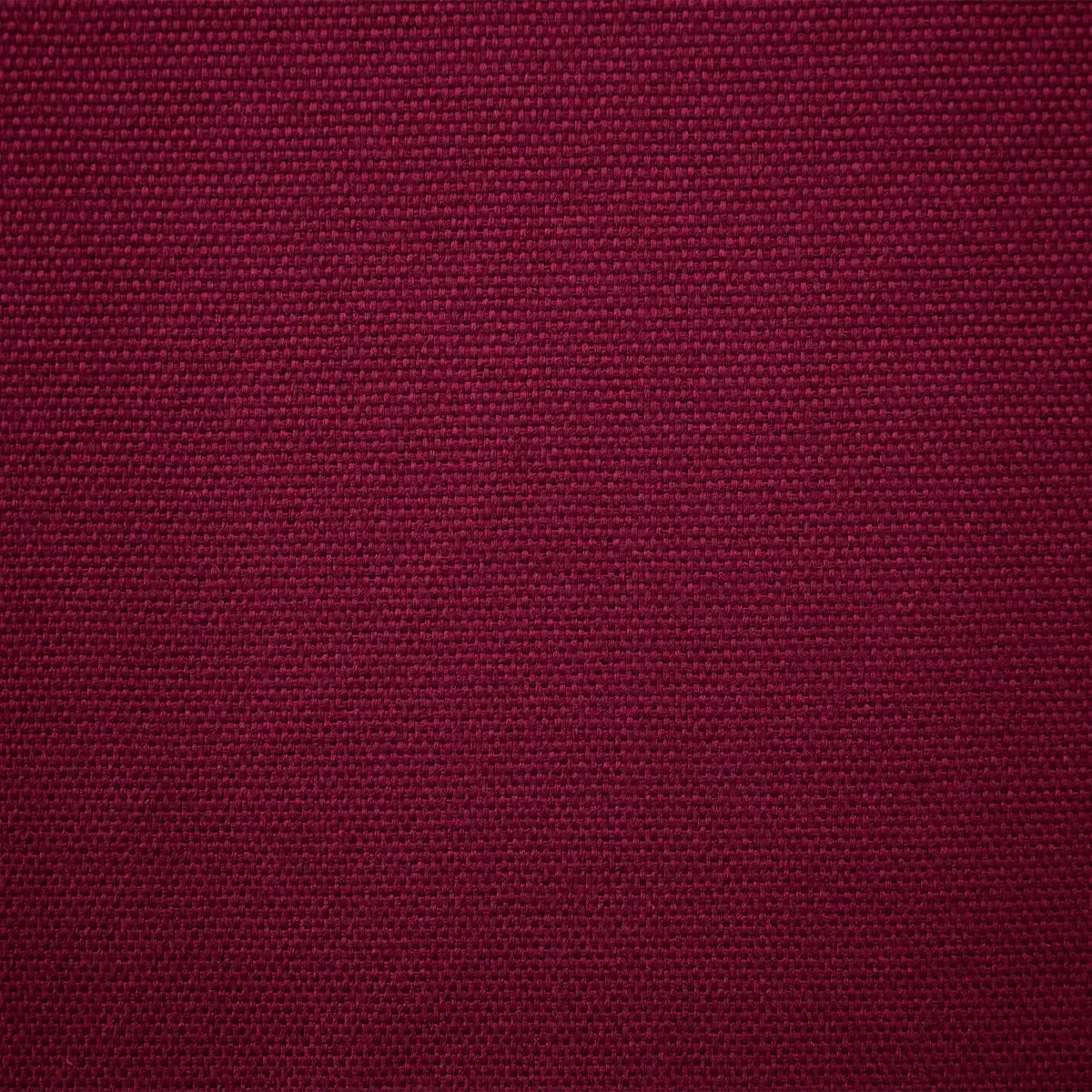 Modena Tinto