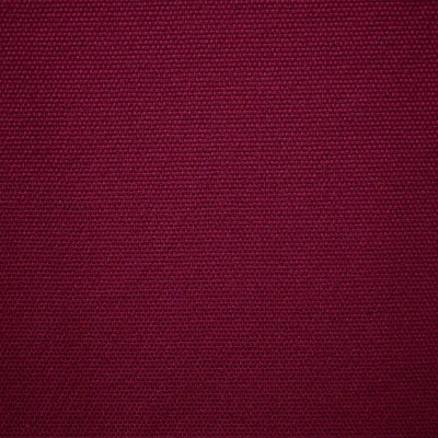 Modena Tinto