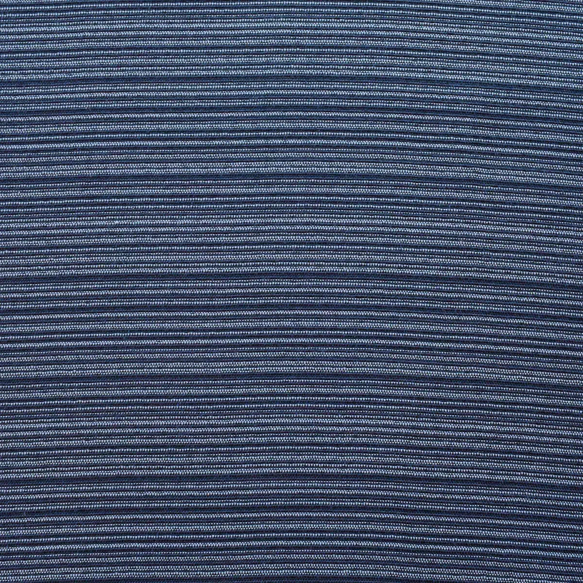 Bondy Plumbago