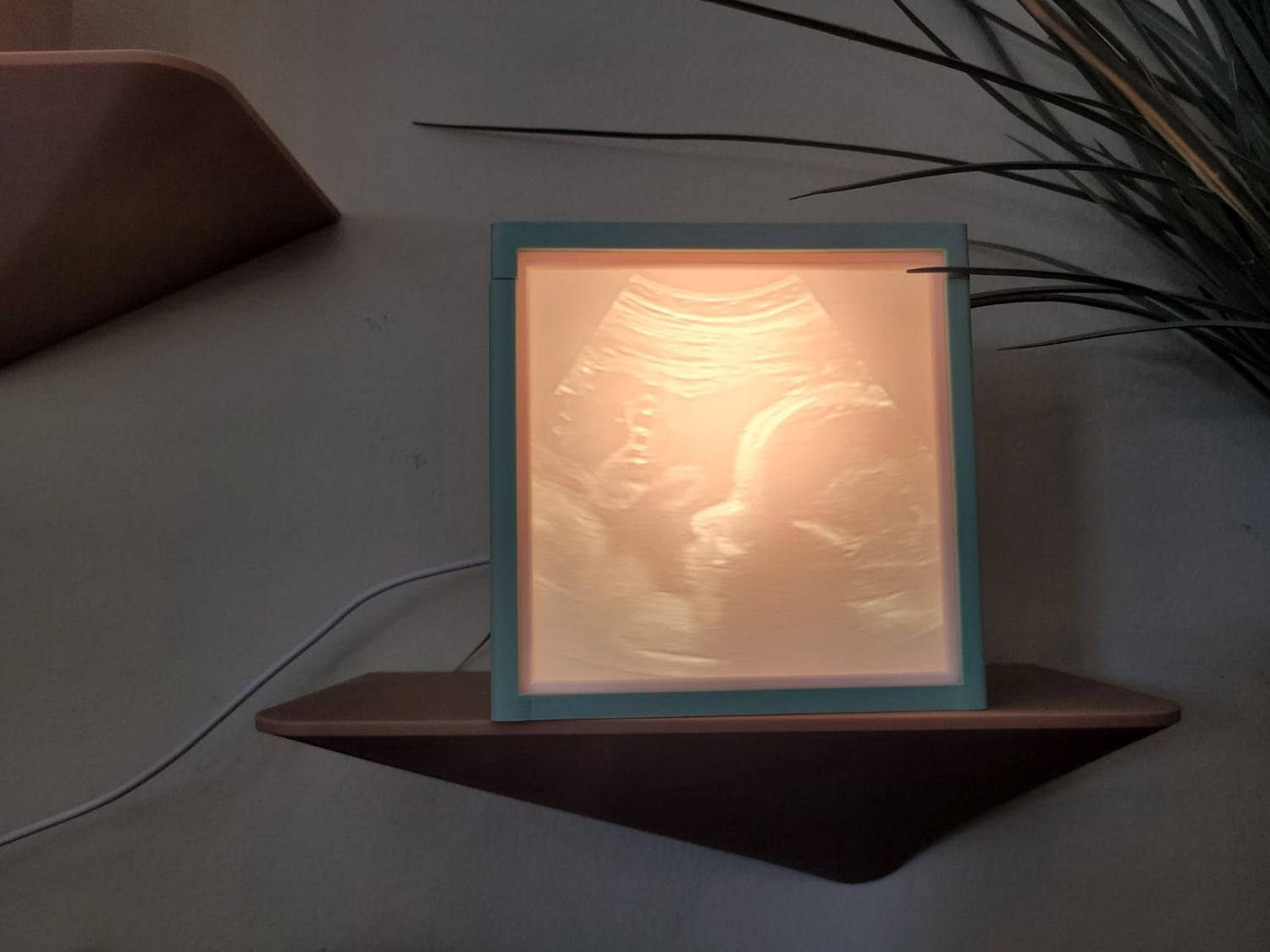 Ultrasound Lithopane Lightbox, Colour: Green Box