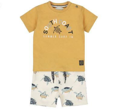2 pc set, shirt/short Turtle