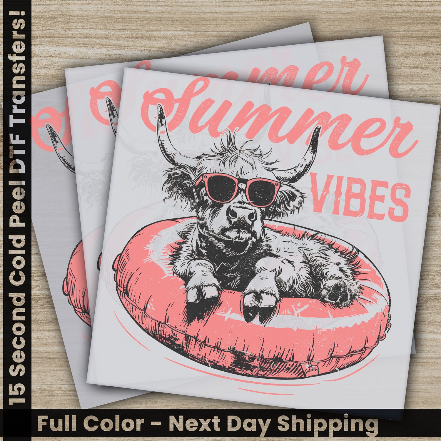 Summer Vibes, Ready To Press DTF