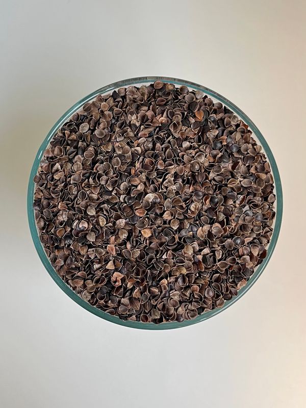 Buckwheat Hulls 12 kg