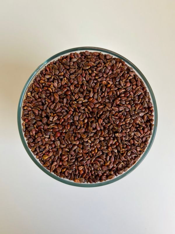 Grape seeds 4.5 kg