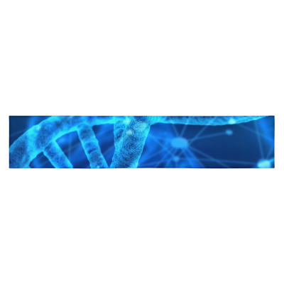 #CotitoTribe Collection DNA Headband