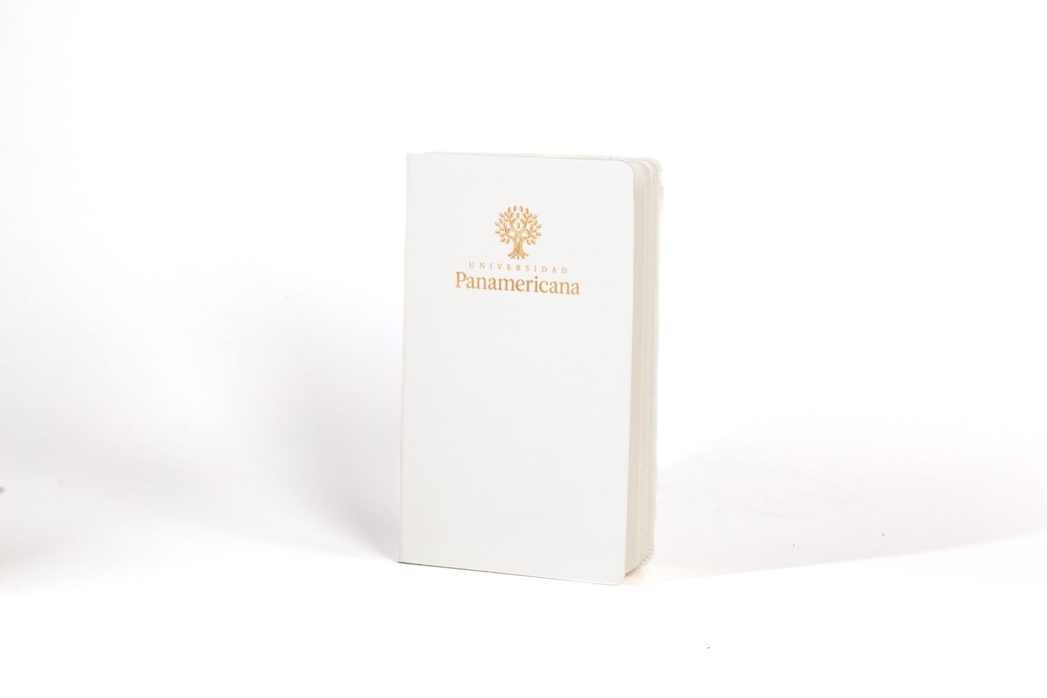 LIBRETA SKIN