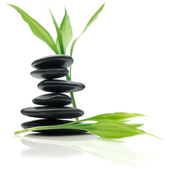 ESTUDIO BASICO FENG SHUI ELEMENTOS para este año