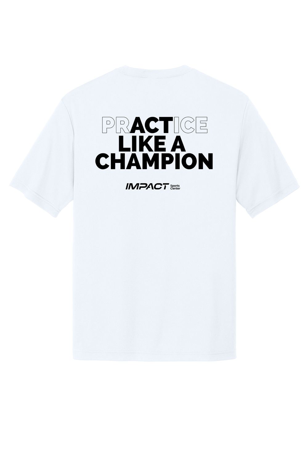 Practice like a Champion Basketball