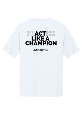 Practice like a Champion Basketball