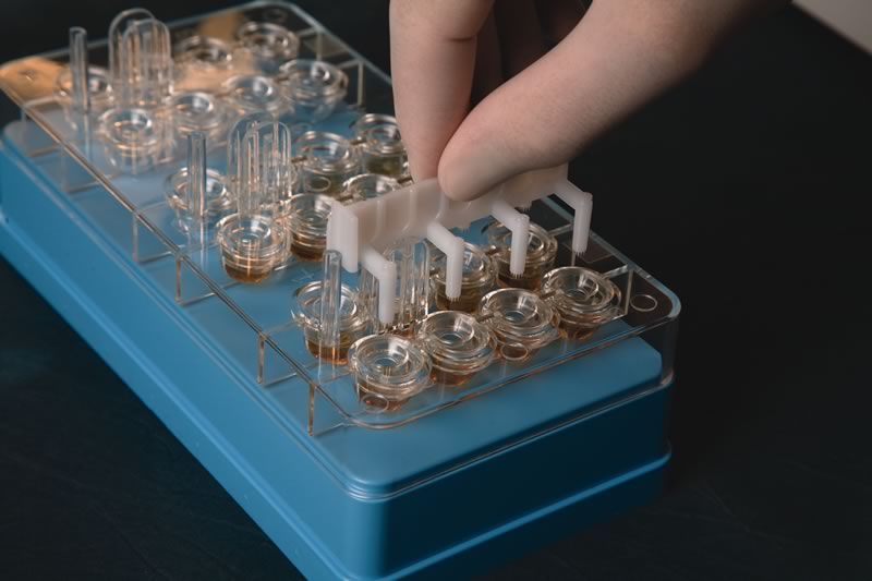 Multi-Test® II/PC DipWell Tray with Lid