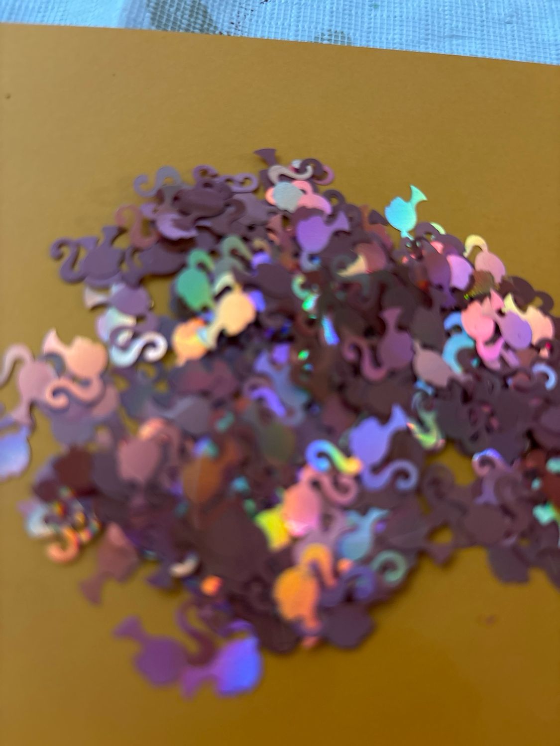 Barbara Holographic Heads