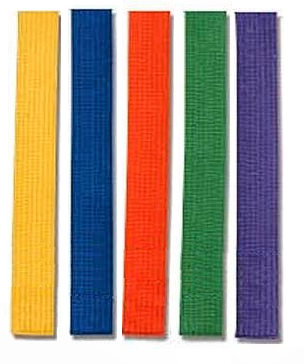 Rank Test Fees (Not Brown Belt)